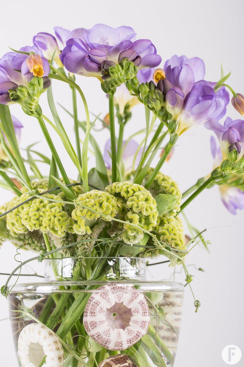 FreestyleFreesia sea style Roos vabn Unen