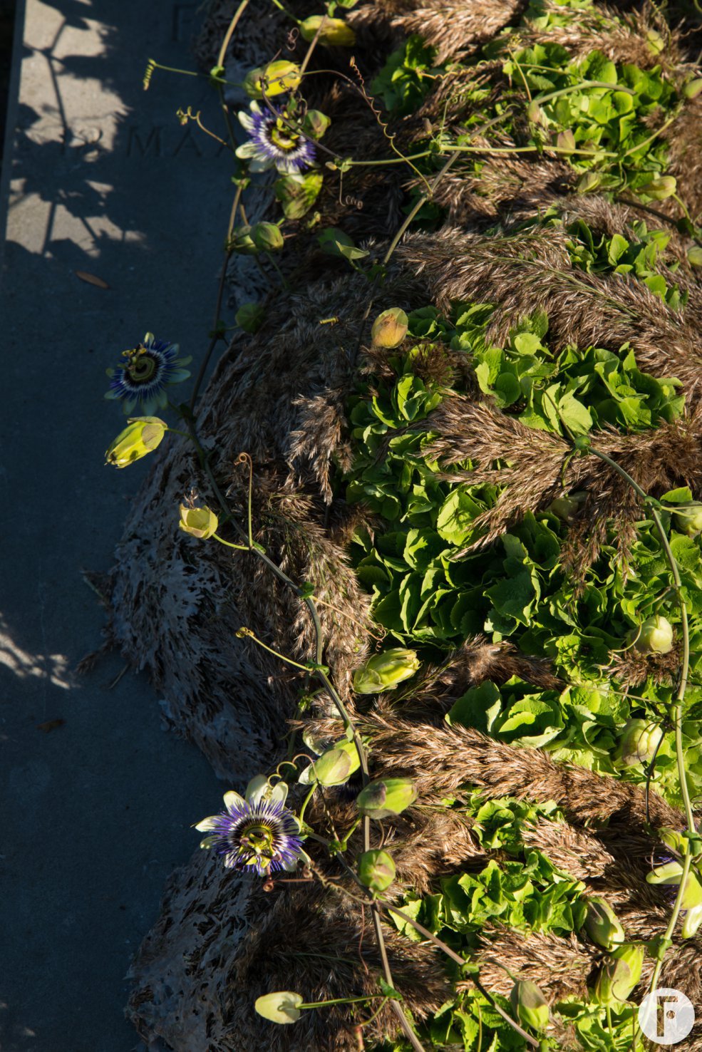 Afscheidsbloemwerk met groene snij-hortensia - Kristel van Dijk - Flower Factor
