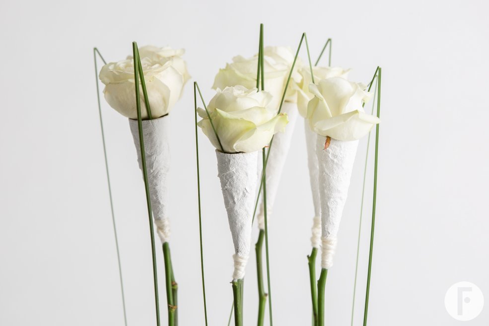 Winter wonder roses - Pim van den Akker - Flower Factor