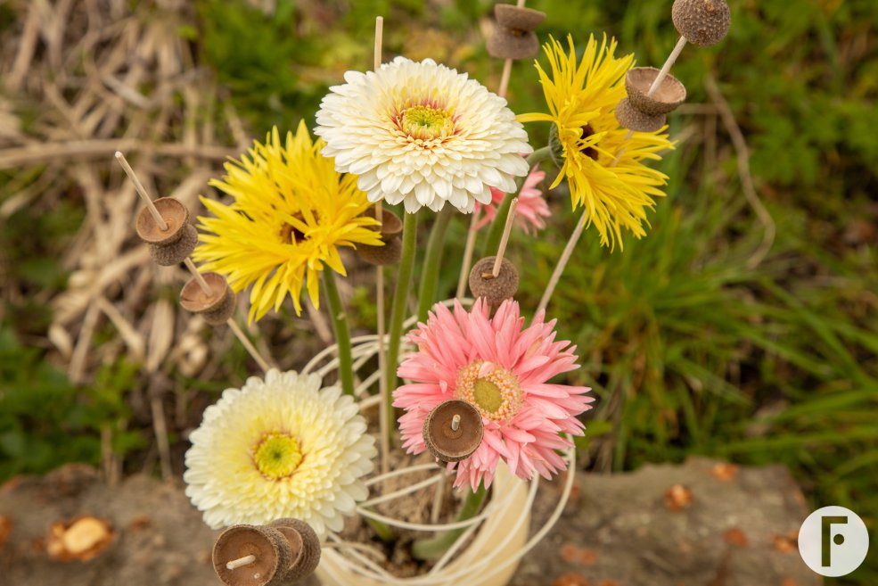 Easter design with Mi Punk iIndy, Mi Dotti Gerardo and Mi Twisti Earl by Pim van den Akker