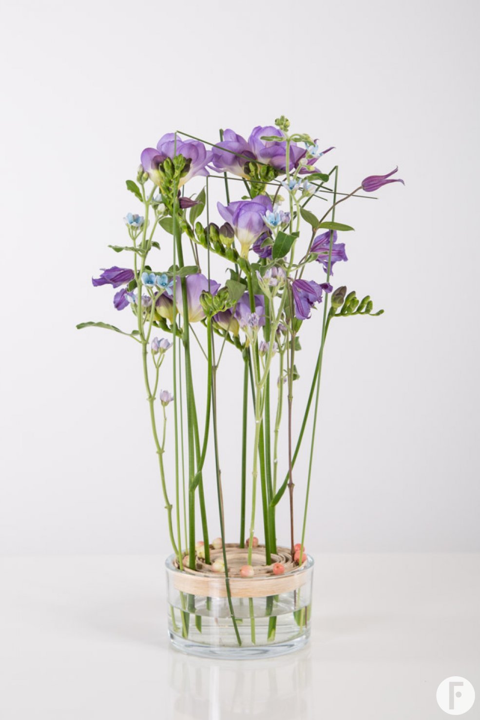 Pim van Akker Freesia Tall Serene1 3