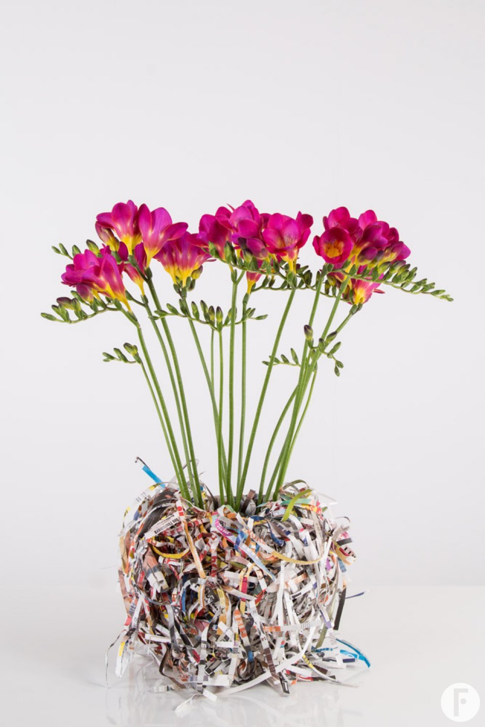 Kleurrijke rommel met Freesia