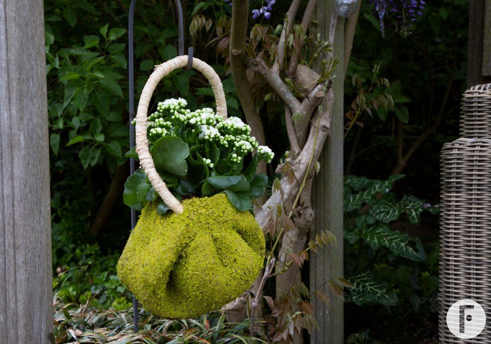 Kalanchoe hanging design - Pim van den Akker - Flower Factor