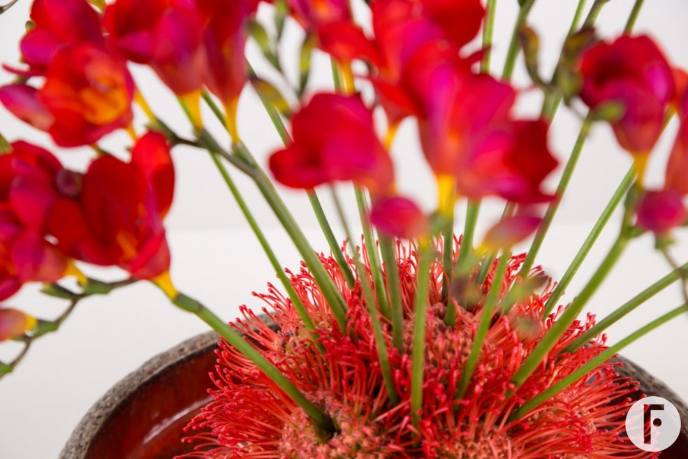 Vurig Freesia design close-up