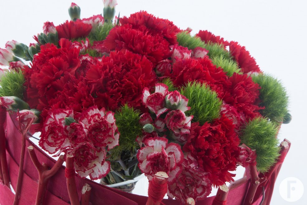 Surprising Dianthus bouquet - Flower Factor