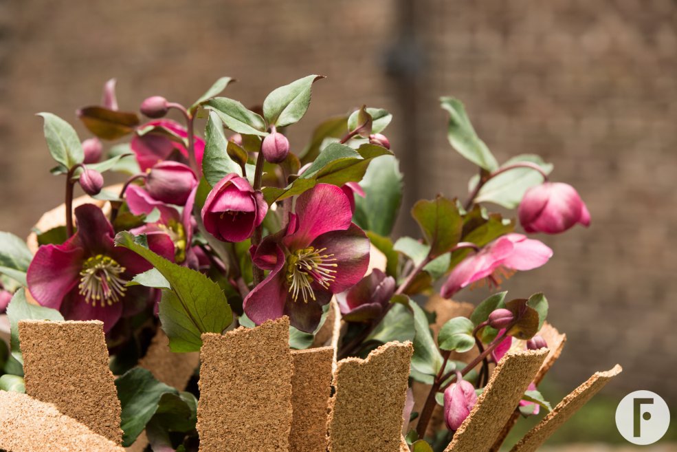 Playful Hellebore outdoor arrangement