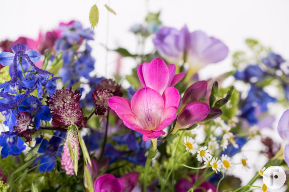 Freestyle Freesia veldboeket close-up