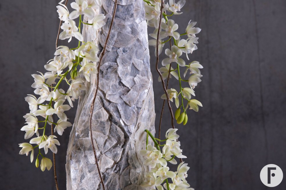 Cybidium 'Ice Cascade' arrangement - LZ Orchidee - Flower Factor