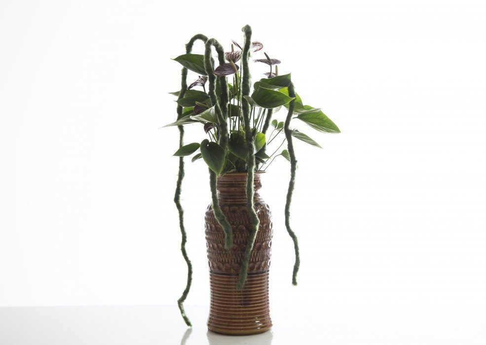 retro styled Anthurium Adios Chocolat Pim van den Akker