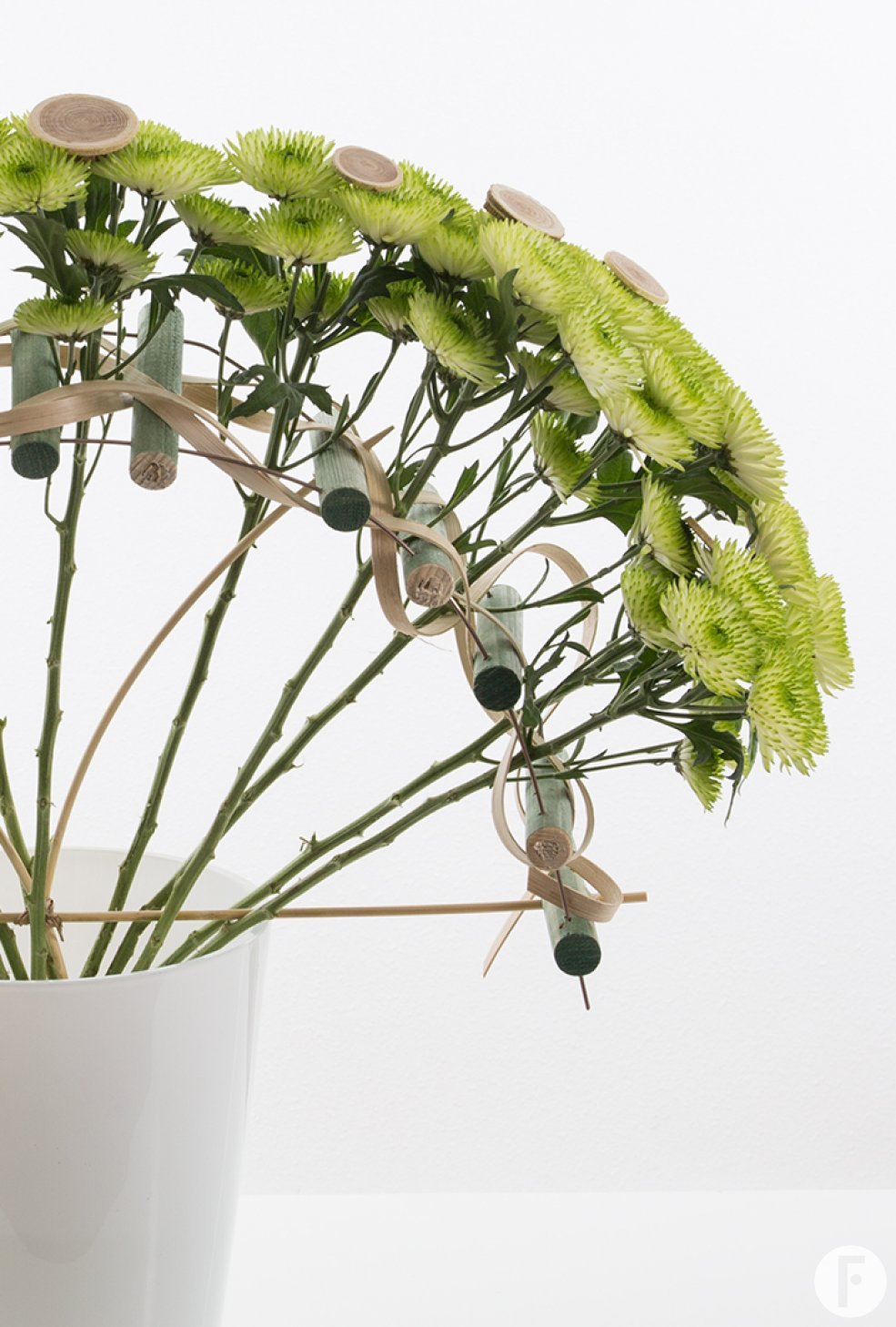 'Cocoon', an eye-catching variety