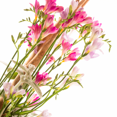 Freesia design van Nelleke Bontje