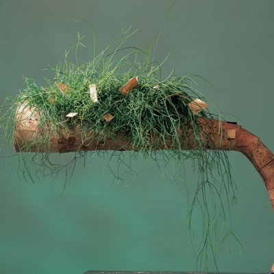 Green art it is!