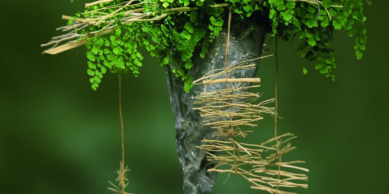 Green Jungle with great details