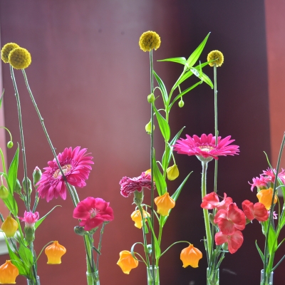 close up Bridge of colour