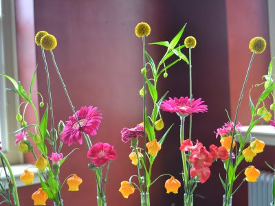 Bridge of color - close up