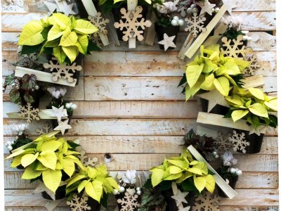 Christmas wreath 