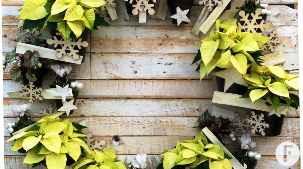 wreath alex3