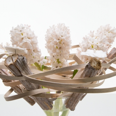 Geurende schoonheid!