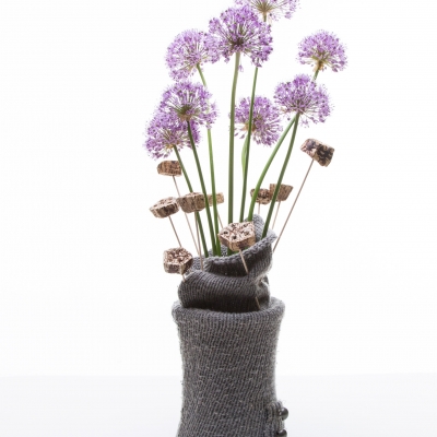 Allium Design 