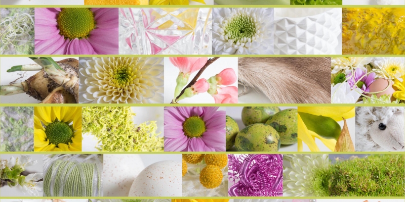 Zentoo moodboard Lente 