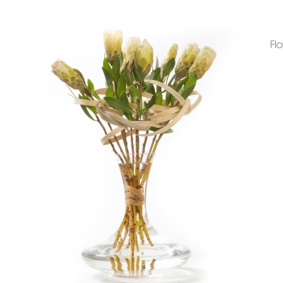 Mono bouquet with Protea