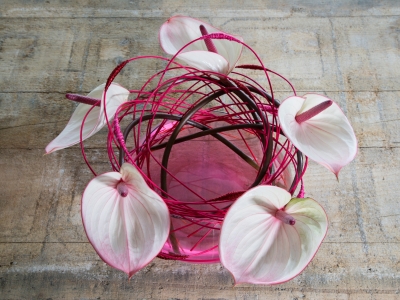 simple bouquet with Anthurium