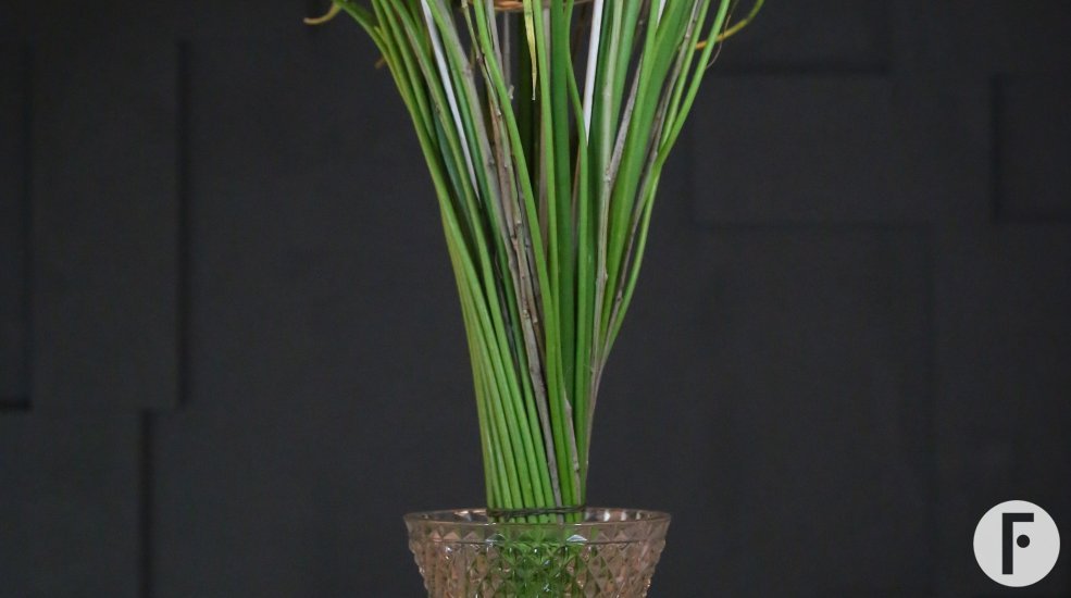 Eucharis boeket