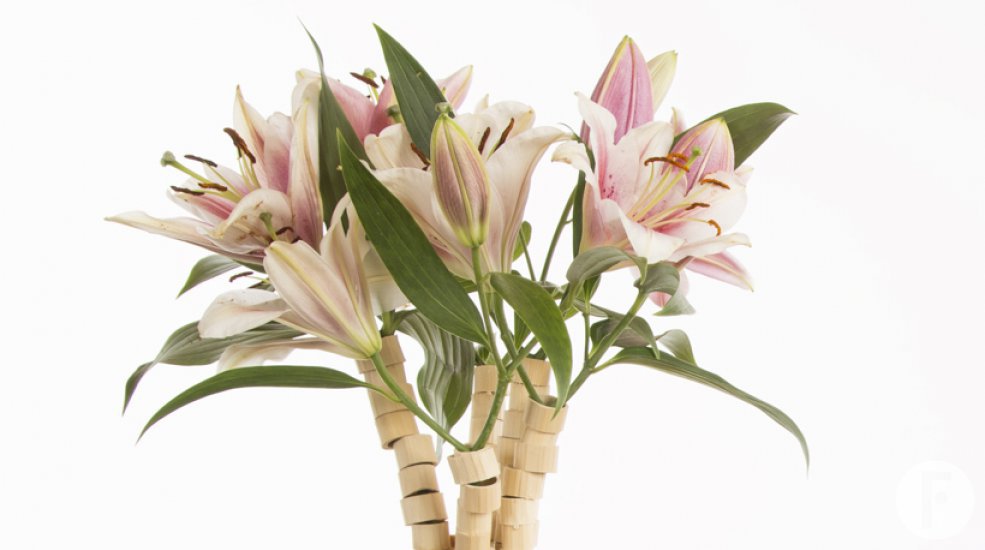 your lily boeket1
