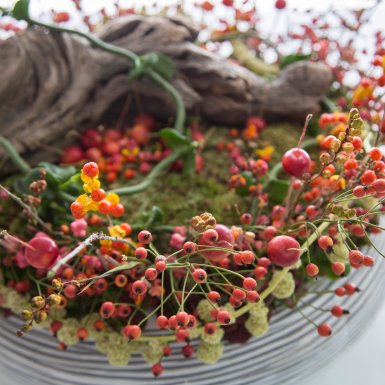 a Miniature Garden design