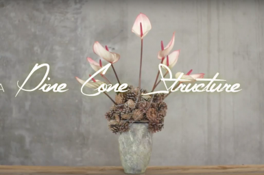a Pine Cone Structure with Anthuriums