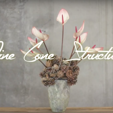 Structuur van dennenappels met Anthurium