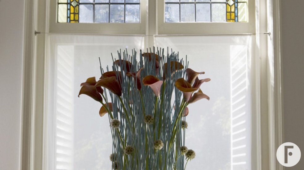 pim van den akker15 kopie