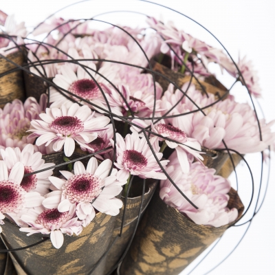 Chrysanten kleuren de herfst