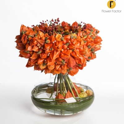 Op en top herfst met Physalis lampionnetjes