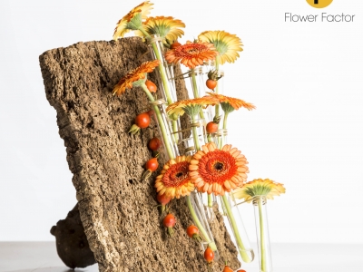 Hout is standaard verbonden met de herfst