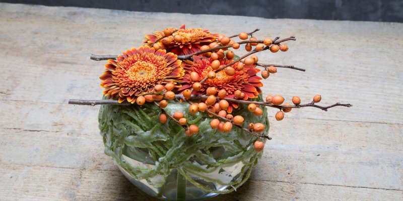 Oranje Gerbera design 