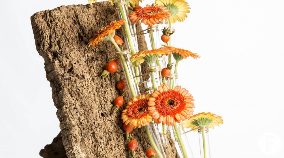 Autum design with bark 