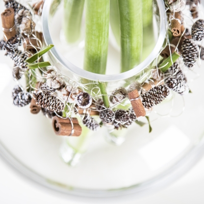 Kerst details, passen bij elke vaas.