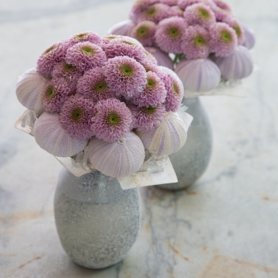 Winterse boeketjes met chrysanten 'Doria Pink'
