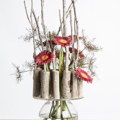 Gerbera's brengen kleur!