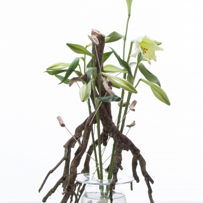 Grillige wintertak omgeven door witte lelies!