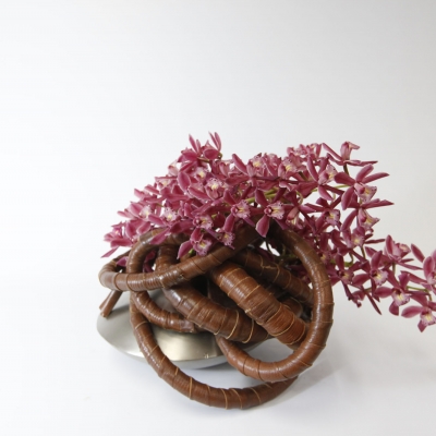 Pure art with beautiful Cymbidiums