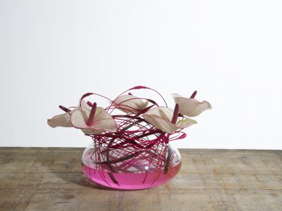 Anthuriums for Mothers Day!