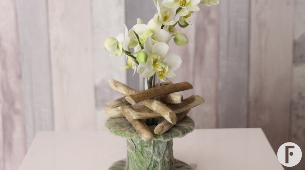 Optiflor orchidee30