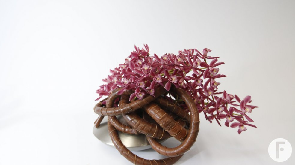 LZorchidee cymbidium2