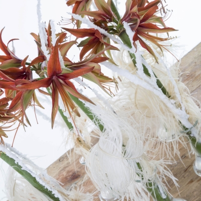 Amaryllis vases