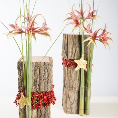 Great details and Christmas stars