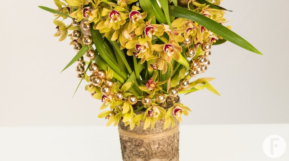 LZ Cymbidium Christmas3