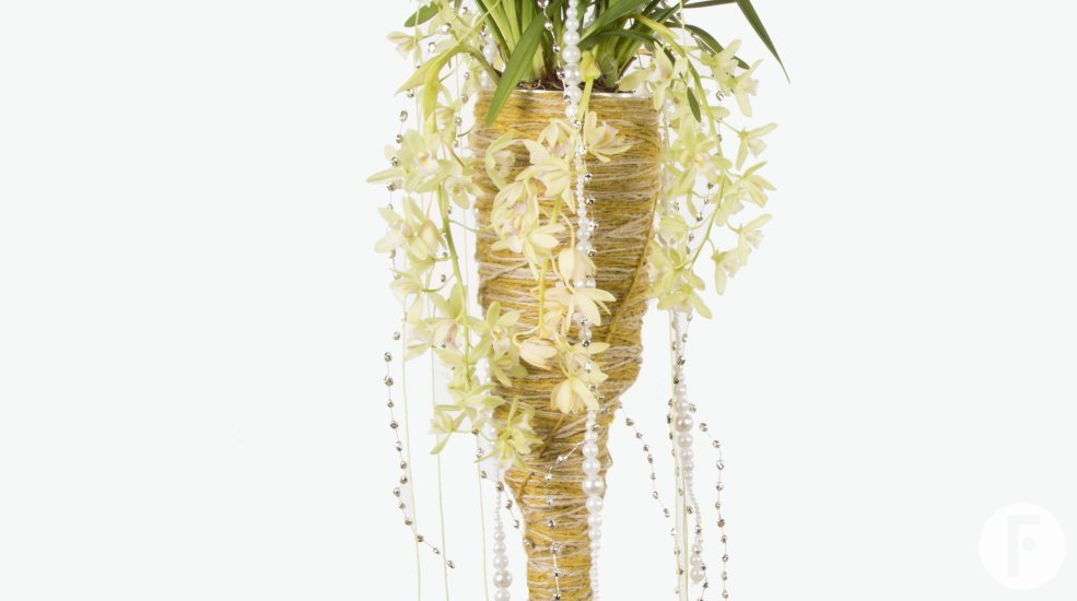 LZorchidee Cymbidium olant kerst