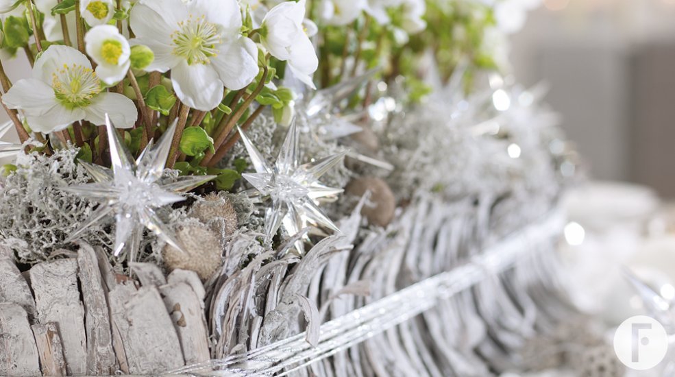 Verboom Beauty BLOOMS 2013 25